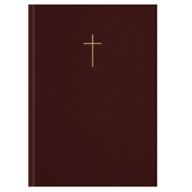 Bíblia Sagrada Jornada Cruz Vinho | NVI | Letra Normal | Espaço para anotações