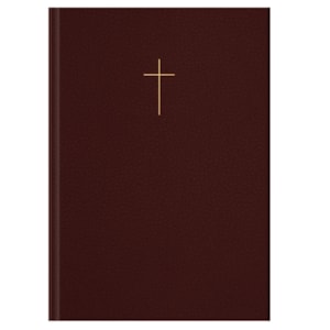 Bíblia Sagrada Jornada Cruz Vinho | NVI | Letra Normal | Espaço para anotações