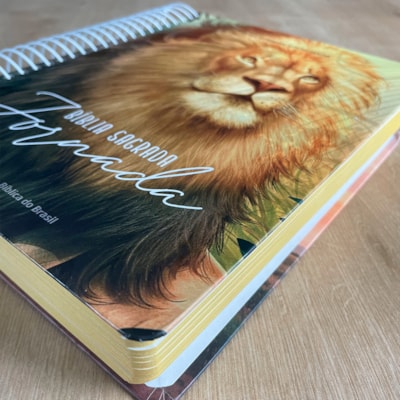 image_5e950715-66f2-4ce1-b4c8-2911fb693f93