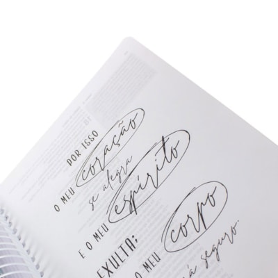 image_b909cfd4-ceea-4e78-aacc-9d771f22bd1b