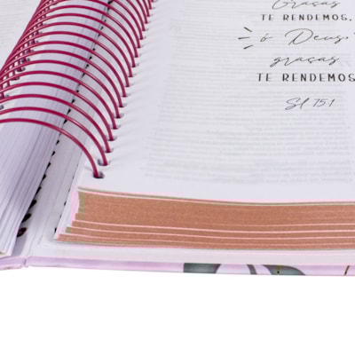 image_3f17352d-ade6-4afc-b21d-fd7542b5fa3e