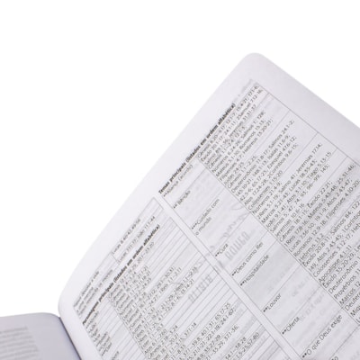 image_37a203cf-09cf-4676-827d-01b67c3160dc