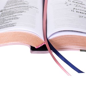 Bíblia Sagrada Jornada | NAA | Espaço Anotações | Capa Aquarela