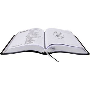 Bíblia Sagrada Jornada | NAA | Letra Normal | Capa Preta Edição Luxo