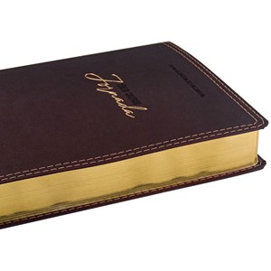 Bíblia Sagrada Jornada | NAA | Letra Normal |  Espaço Anotações | Capa Luxo Bordô
