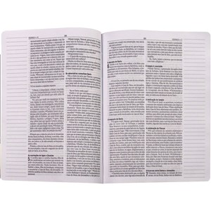Bíblia Sagrada Jornada | NAA | Letra Normal |  Espaço Anotações | Capa Luxo Bordô