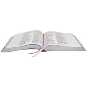 Bíblia Sagrada Jornada | NAA | Letra Normal |  Espaço Anotações | Capa Luxo Tecido Rosas