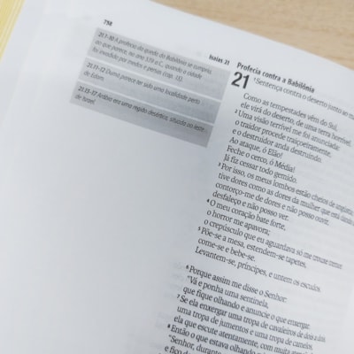 image_1969bd27-6cdb-4ab6-b473-a55a3f4a35b7