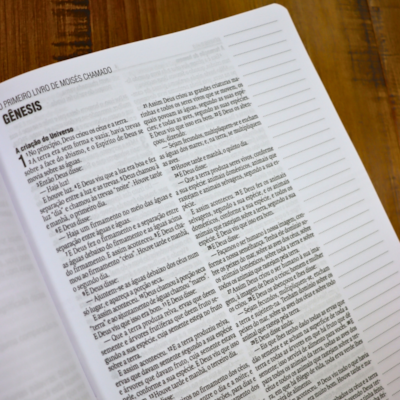 image_bdde5795-c241-4e6d-b318-3ea8421c8223