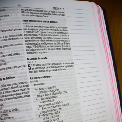 image_b37d7207-4071-428e-b7e4-658d4c9a63c8