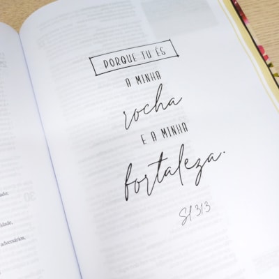 image_3362e428-b5ce-4289-ad61-7dce1ee8fc2b