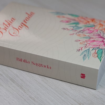 image_ece40010-a66c-4a05-875b-383ef5cf108c