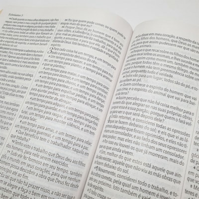 image_e8e2f8ac-9bd4-4fbb-b777-bd1a759e851a