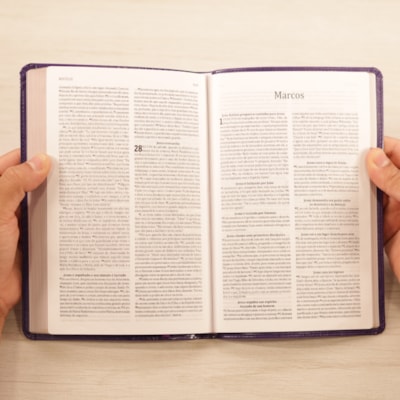 image_4872f97b-0d6f-40c5-9c33-788aa9855547