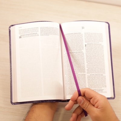 image_86eccff4-5339-452f-beab-a7b77c53fe62