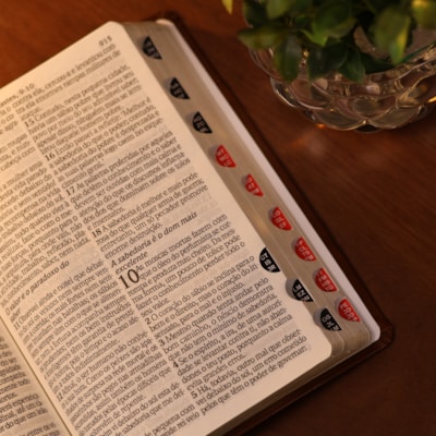 image_bd951949-272d-4497-93a3-ba3c13b9579c