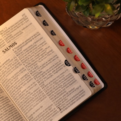 image_fb2b6dda-ccbb-49d1-bce3-7b25120c8c05