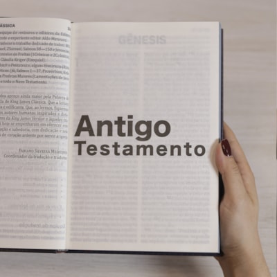 image_f2998db2-8fc6-445e-a2c2-cdb11e167c8f