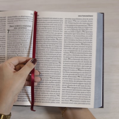 image_70930a20-9d9a-4d63-a2f8-9bed6802d16f