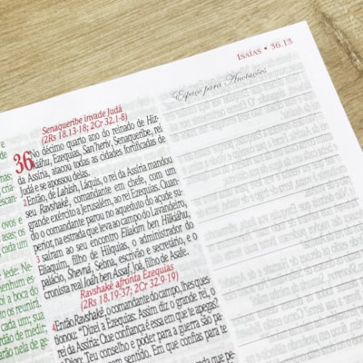 image_3d35d4a9-9b68-4e36-b543-c851f874209a