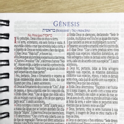 image_37fb2ea9-999c-438a-8c6f-43a125f03246