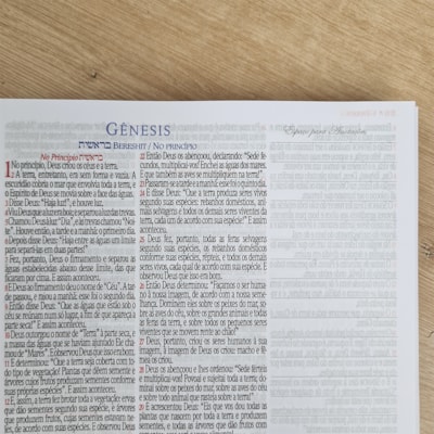 image_ded9a435-af6c-4e3a-b005-3edd83faa733