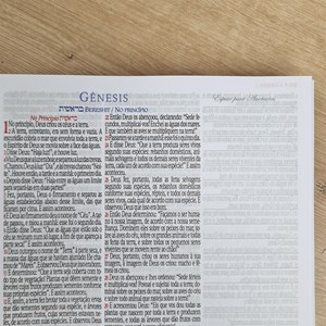 Bíblia Sagrada KJA 1611 | Letra Normal | Capa Dura Espiral Coroa de Espinhos