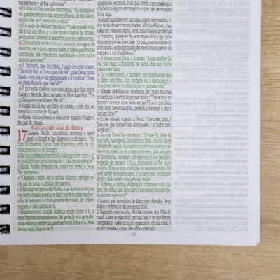 image_30cc416e-c0b4-499c-8baf-f9c1d40f80af