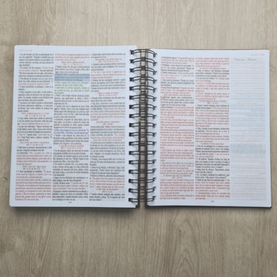 image_e88e624f-fddf-4710-b6b7-a5f11167f582