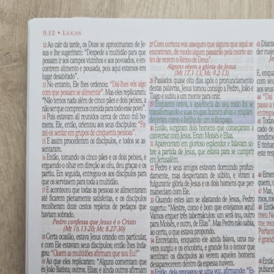 image_2993acd8-d433-4920-bf2d-c60b78113459