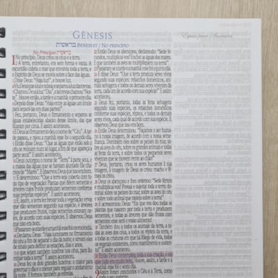 image_e2c998b1-1b6c-4717-938f-3e00545ba342