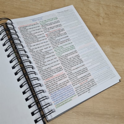 image_9db8446c-e59f-4699-a0d5-58f8cf8753f1