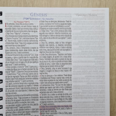 image_a29ef720-e22d-4478-9311-e6535103af50