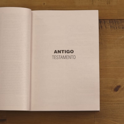 image_656a9c57-f1ae-4472-9ea6-8d851a4615d7