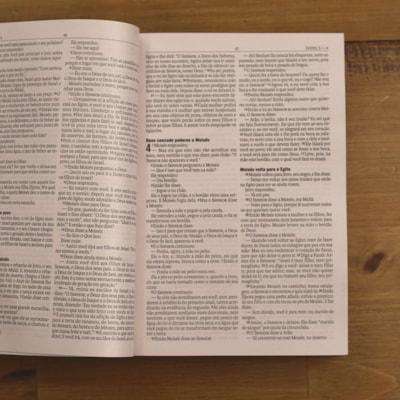 image_82cea553-0dfc-4065-9a54-4b16c9914c65