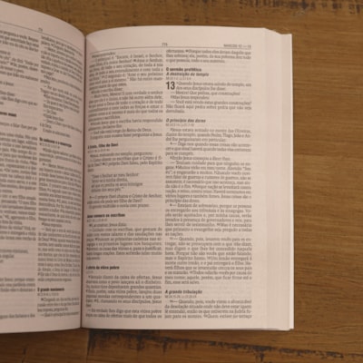 image_164923b4-9a7c-46c2-b529-6f1357c68667