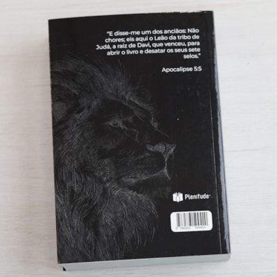 image_e1b079b5-ba95-47f7-8720-c6a00827f273