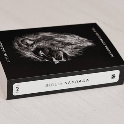 image_7ff95769-5a55-427b-b2fc-88f57c826cab