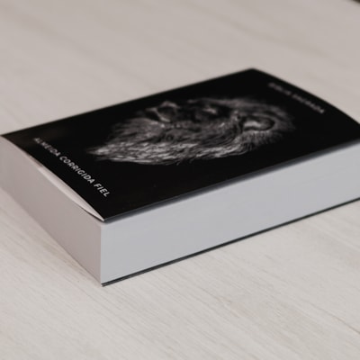 image_e7c764d9-fa76-4c05-a488-79847acb53fb