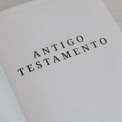 image_8b2aab2e-6c97-4b9a-8ee5-486f3f6bd424