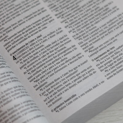 image_c645dec8-219f-44b1-bbbf-f07b35c3825f