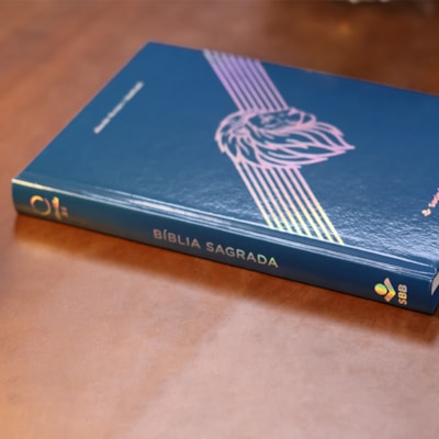 image_553af9a8-a437-4f12-bbfe-b01444b95960