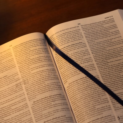 image_6ac32b75-3aea-423d-bf12-52f5f199f2e2