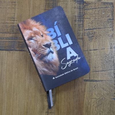 image_1b8f3b20-dfe7-4c58-9165-40750365b511