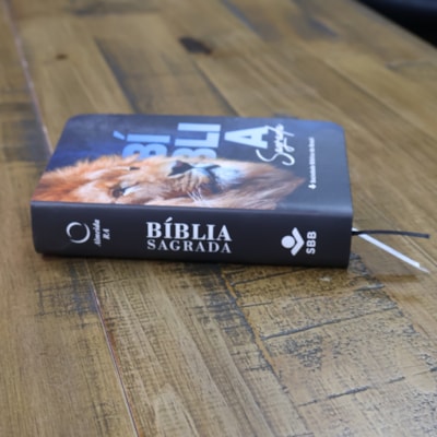 image_bf4ce151-02db-469e-a7b5-2c59db9e6e67