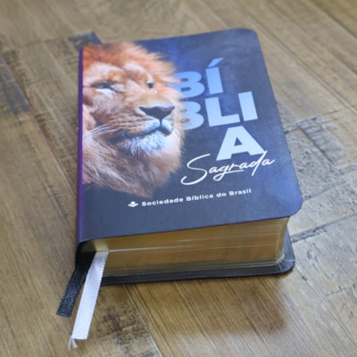 image_0fd1b9e0-4a86-4cdc-b35f-025f9d245adc