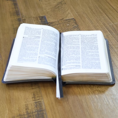 image_88db5cf1-bb00-4279-a10c-f7e2508f2408