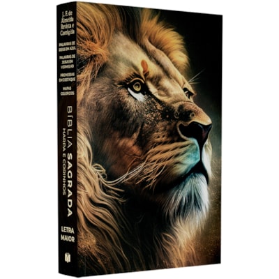 Imagem Principal - bc6d6618-6009-4332-91f0-4da580fb9789