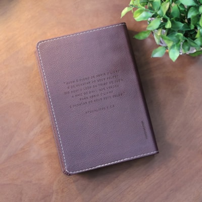 image_ed357666-b2ba-47dc-aa85-8eecb76627b0