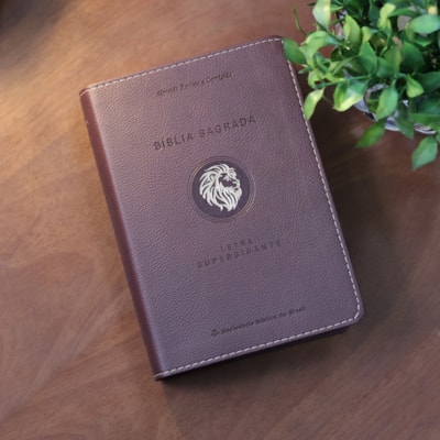 image_c384b3e5-ff15-447b-923e-e8bf2a10f97d